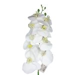 Ht Orquidea X9 Pvc Branco