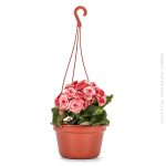 Cachepo C/ Alca Terracota