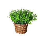 Vaso Cacto Medio Junco Sintetico