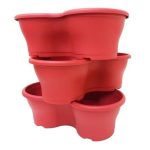 Vaso Trevo Color - Imagem 4