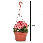 Cachepo C/ Alca Terracota - Imagem 3