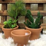 Kit 6 Vasos De Barro Para Cactos E Suculentas - 10cm