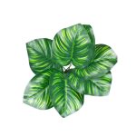 Bq Folha Tartaruga MG3018 7892017108021 - Imagem 2