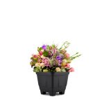 Vaso Quadrado N 0 Preto 238 7898948179420 - Imagem 3