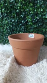 Vaso Grande Cru A14 X B17Cm - Imagem 4