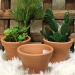 Vaso Mini Cru N4 A7 X D8 Cm