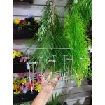 3201-Suporte Copo P/ Mesa 6 Esp - Imagem 5