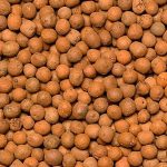 Argila Expandida Grande 2 Litros