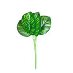 Bq Folha Tartaruga MG3018 7892017108021