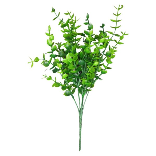 BQ Eucalipto Verde MG437