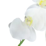 Ht Orquidea X9 Pvc Branco - Imagem 2