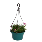 Cachepot C/ Alca 21X12,5Cm - Plasmarc - Imagem 2