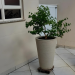 Vaso Coluna Redonda Cone  Polietileno Ref 078 58x36x36cm - Imagem 5