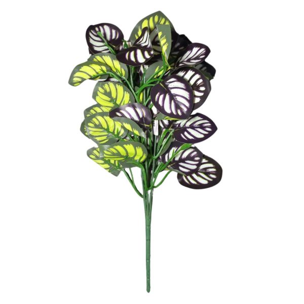 BQ Maranta Roxa MG2606 7892017107802 7892017109417