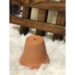 Vaso Mini Cru N4 A7 X D8 Cm - Imagem 5