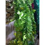 Festao Floco De Neve Verde 4Cm - Imagem 2