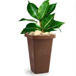 Vaso  Grego Quadrado 29,5 Litros - Terracota