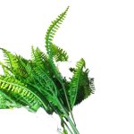 BQ Samambaia Verde MG2620 7892017107918 - Imagem 3