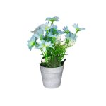 Vaso Para Suculenta MG2997