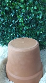 Vaso Grande Cru A14 X B17Cm - Imagem 2