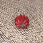 Flor Artifcial - Suculenta MG2657 - Imagem 3