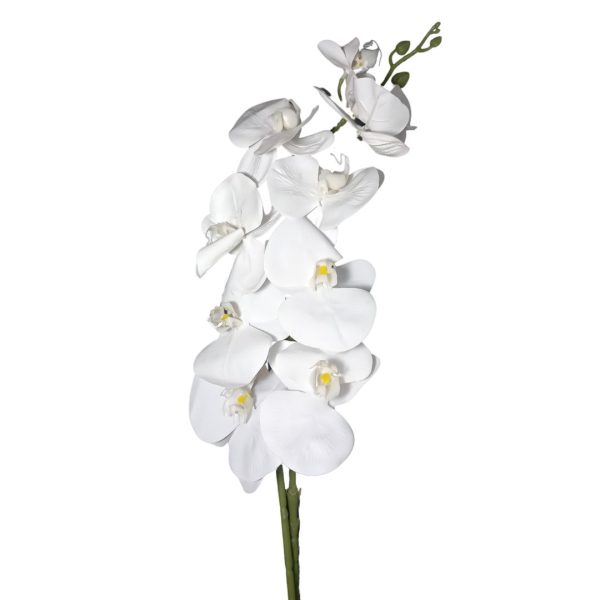 HT Orquidea- Cor Branca MG2563A