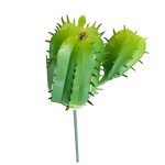 Suculenta Cacto MG2655 - Imagem 5