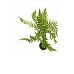 Qx Folhagem 44Cm Flor Artificial 64380