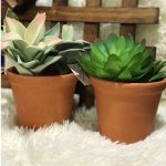 Vaso Violeta Cru A10,5 X B12,5Cm