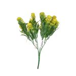 BQ DENTE DE LEAO Mg2050 - Imagem 3