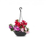 Vaso De Planta Redondo Cuia De Plastico Suspenso Com Alça - Imagem 2