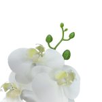 Ht Orquidea X9 Pvc Branco - Imagem 3