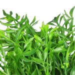 Bq Folha Bambu MG828 7892017104146 - Imagem 2