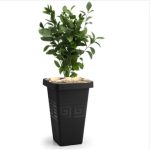 Vaso Grego Quadrado P 13L - Preto - Plasmont - Imagem 2