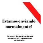 Organizador Rattan C/. Tampa 40 Pt-Coleta Seletiva - Imagem 4