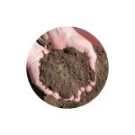 Terra Vegetal 10 KG - Imagem 5