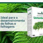 Fert. Samambaia 150 G Unica - Imagem 2