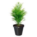 Vaso Redondo Rattan 43 cm 36 Litros Preto Com Prato - Arqplast - Imagem 2