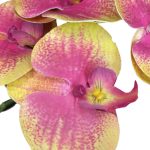 Ht Orquidea X9 Pvc Rosa - Imagem 3