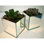 Vaso Vidro 5X5 W01 - Imagem 5