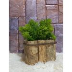 Cachepot 11X11Cm Madeira Cafe - Imagem 4