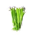 Buquê de Capim para Aquário com 13 Flores 20cm – Cores Variadas - Imagem 2