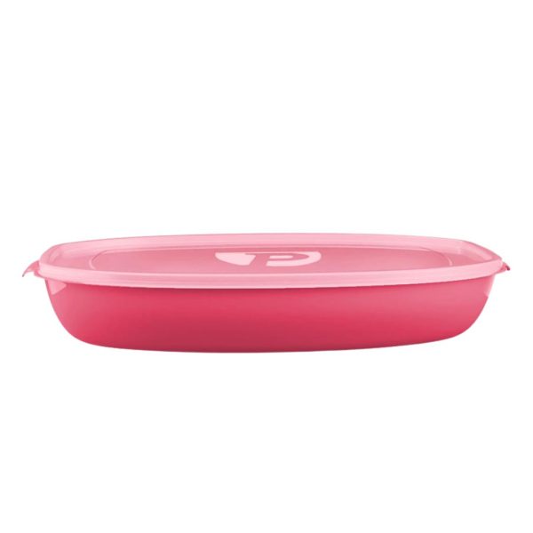 Organizador Multiuso Retangular 4,2L - Coral, lilas e pink