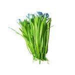 Buquê de Capim para Aquário com 13 Flores 20cm – Cores Variadas - Imagem 4