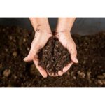 Composto Orgânico 1 kg - Imagem 2