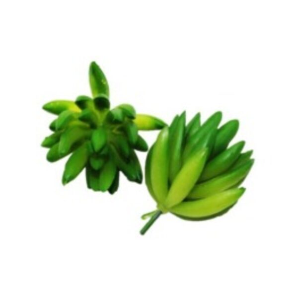 Suculenta Artificial Verde