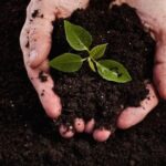 Adubo Orgânico 1kg - Imagem 2