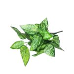 Galho Artificial de Peperônia Verde 33cm