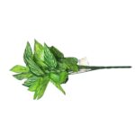 Galho Artificial de Peperônia Verde 33cm - Imagem 2