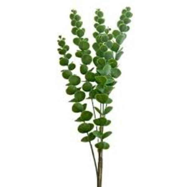 Folhagem Artificial de Eucalipto Verde 90 cm